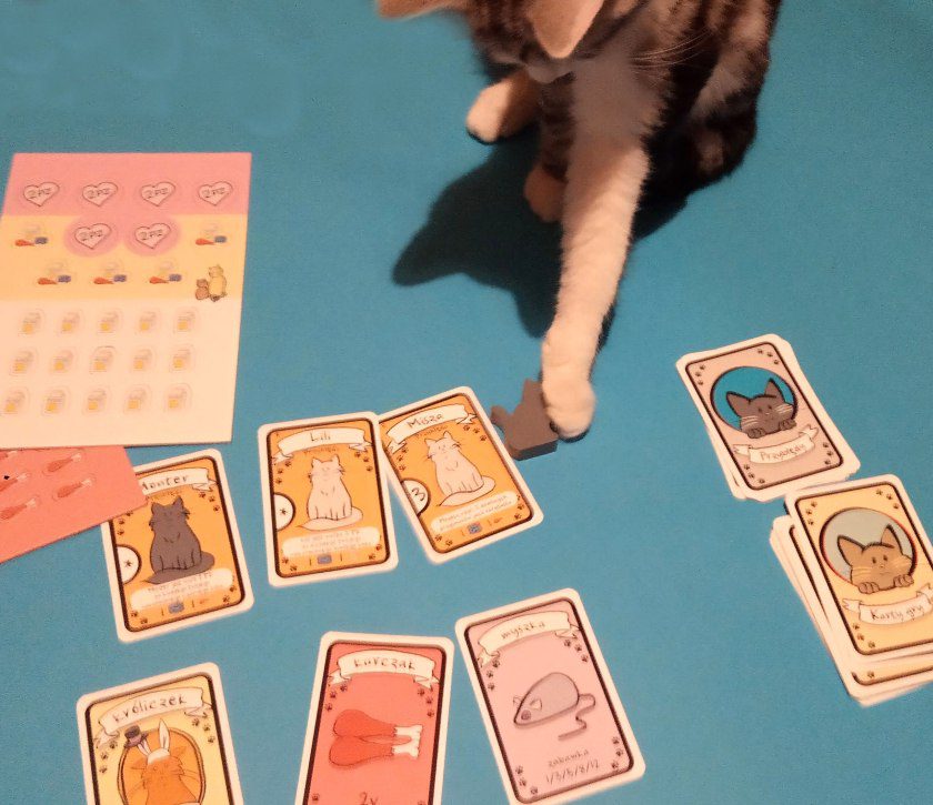 Najlepsza gra o kotach - my już w nią gramy! 20 Najlepsza gra o kotach recenzja