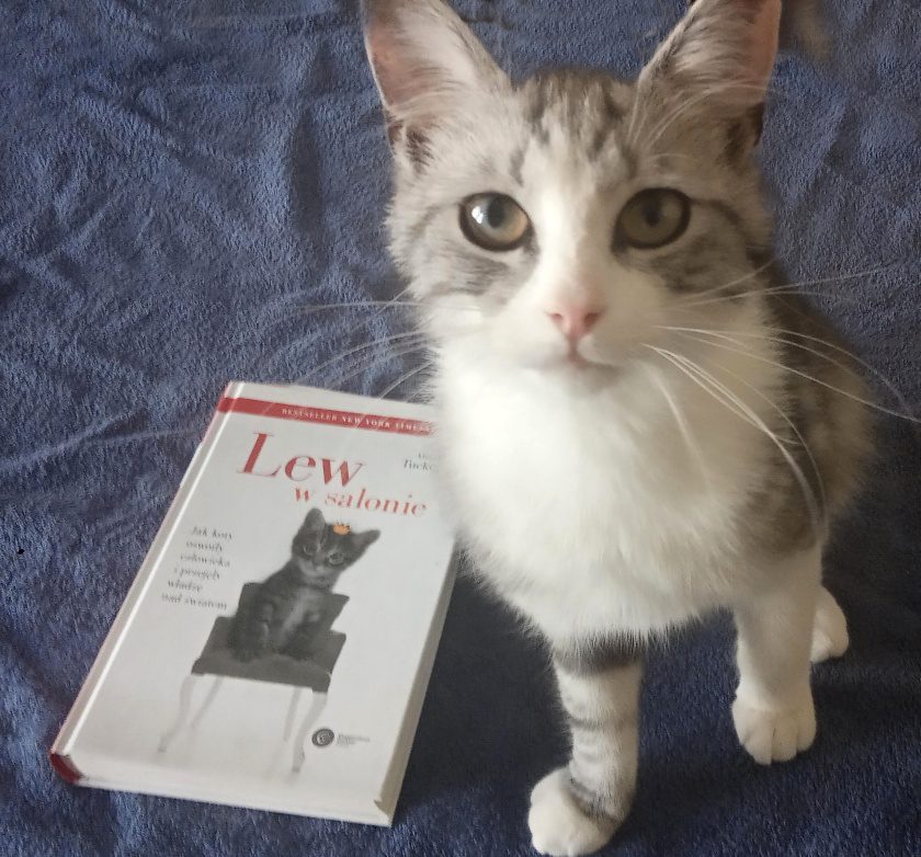 Jak koty oswoiły człowieka. Recenzja książki Lew w salonie 19 pepe lew w salonie