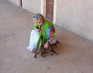 kot w monasterze Arkadii Moni Arkadiu