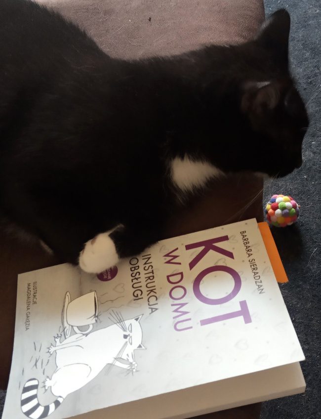 Kot w domu. Instrukcja obsługi. To ma być jakiś żart? Nie, to świetna książka! 2 kot w domu. instrukcja obsługi recenzja
