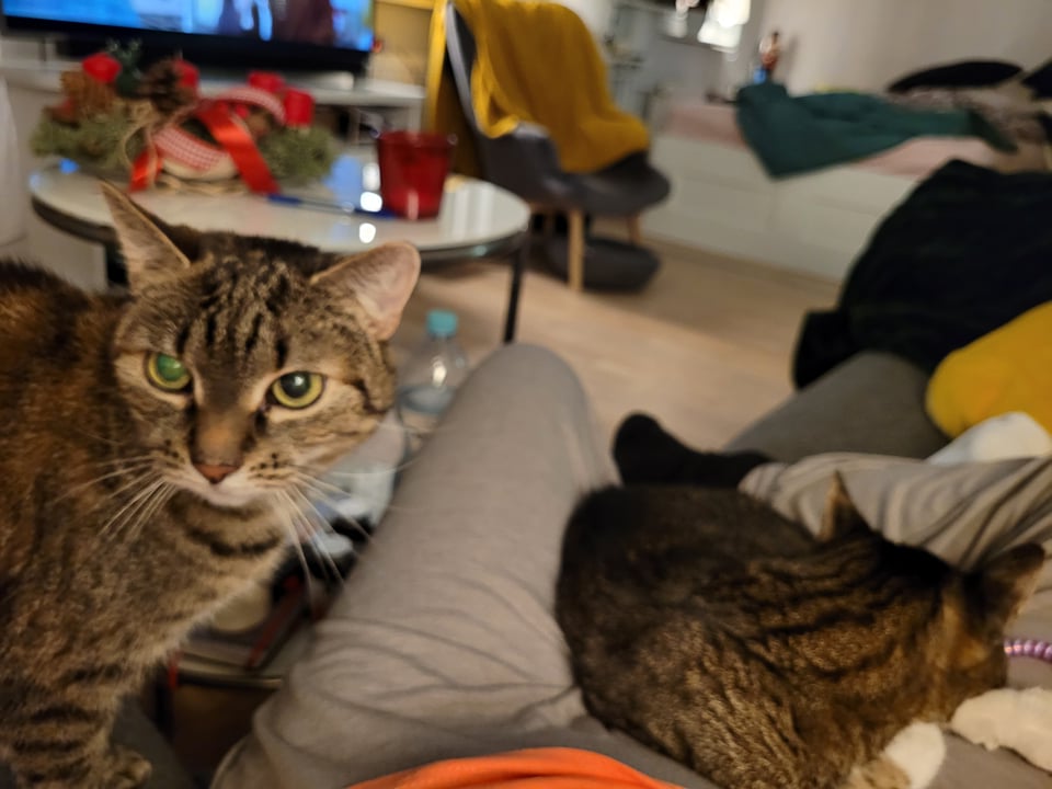 264420047_2490217494455391_1057124569457041275_n