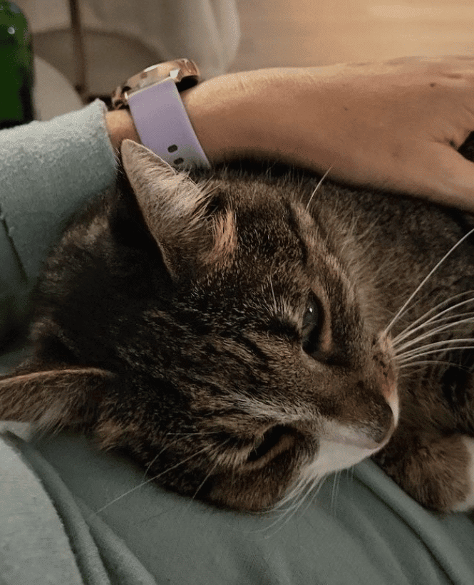 Kontakt 1 Image Not Found