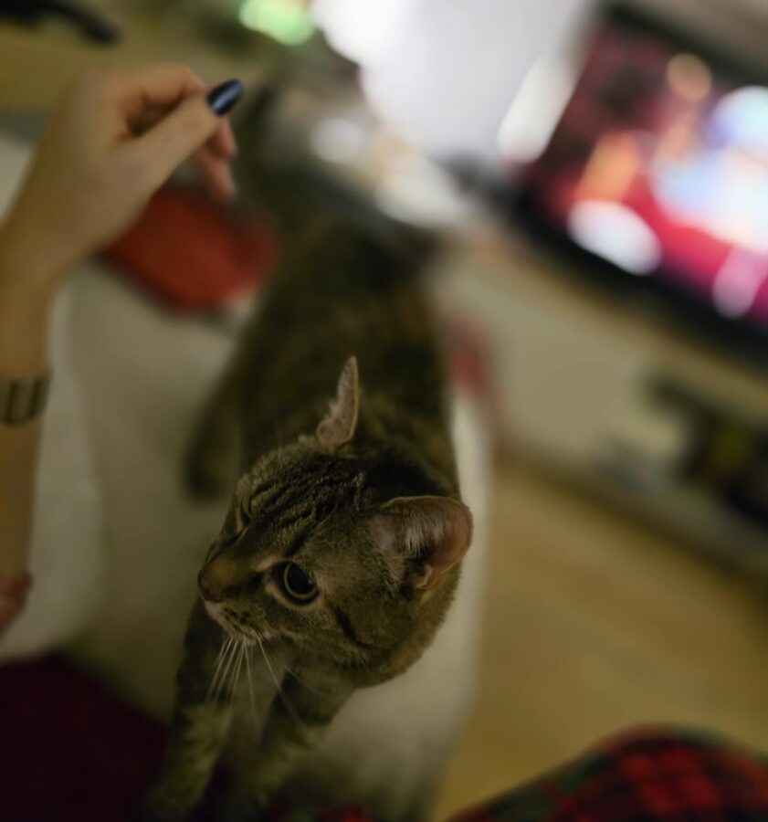 Do obowiązków opiekuna należy także wieczorne mizianie