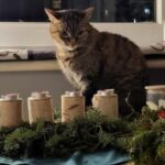 1-a18aca10-4134-4845-8540-5e78ef45e8db