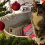 1-b12a317d-3779-4253-90d0-f42b9648197e