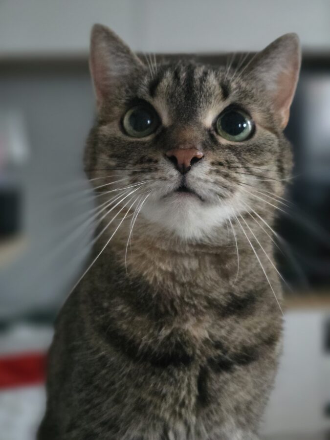 WhatsApp Image 2025-04-23 at 20.08.24 2