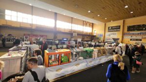 Międzynarodowa Wystawa Kotów Rasowych Federacji WCF w Piekarach Śląskich 27 wystawa kotów rasowy 26