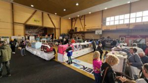 Międzynarodowa Wystawa Kotów Rasowych Federacji WCF w Piekarach Śląskich 26 wystawa kotów rasowy 25