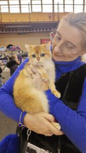 Międzynarodowa Wystawa Kotów Rasowych Federacji WCF w Piekarach Śląskich 20 wystawa kotów rasowy 19